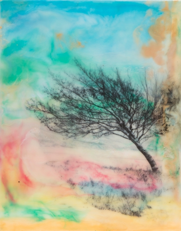 Tree of Life by artist Rita Adams